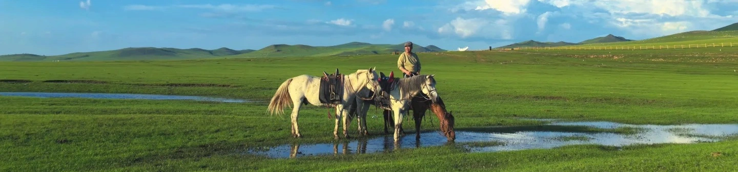 Hulunbuir Grassland