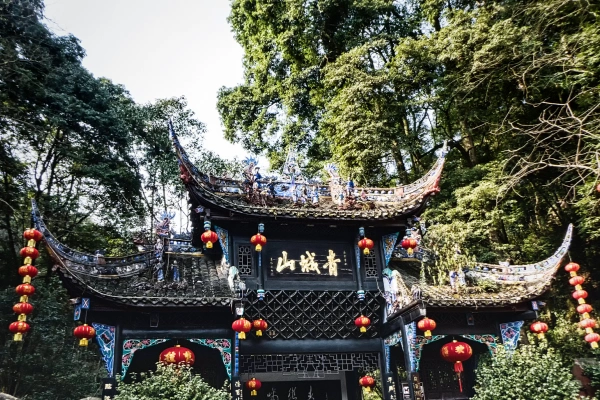 Private zweitägige Tour in Chengdu: Panda und Qingcheng Berg