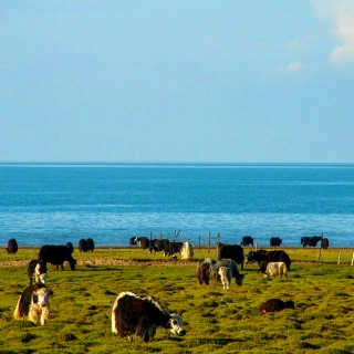 1 Tag Qinghai Naturtour
