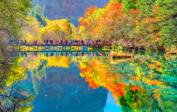 Panda, Alte Stadt & Jiuzhaigou-Huanglong Tour