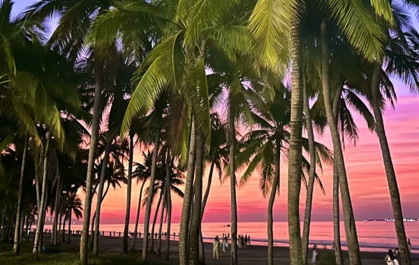 Visite culturelle côtière de Sanya, 3 jours