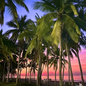 Visite culturelle côtière de Sanya, 3 jours