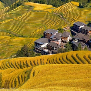 9-Tage Guangzhou, Guilin & Guizhou Tour