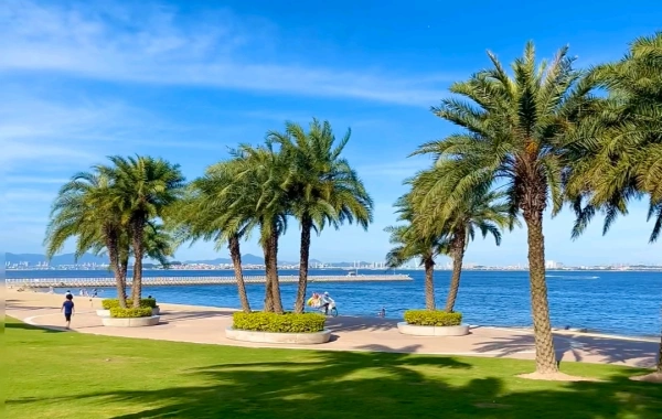 Un jour à Xiamen : explorer l'île de Gulangyu
