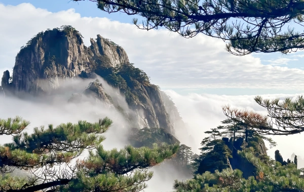 Huangshan Wuyuan Wangxiangu Visite de 4 jours