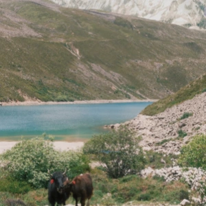 Visite de Xi'an au Tibet