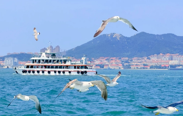 5-Day Coastal Tour: Qingdao Weihai Yantai